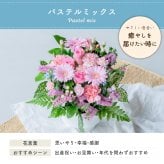 フラワーギフト カラフルガーデンフラワーアレンジメント Mサイズ 生花 花市場から直送 父の日  お祝い 誕生日 記念日