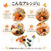 ハロウィン 小物セット かぼちゃ ピック オーナメント 花材 フラワーアレンジ 資材 パンプキン ハンドメイド 手作り 秋 飾り ディスプレイ アレンジメント