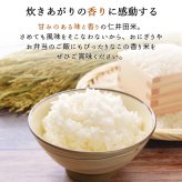 【仁井田米産直】 仁井田米 令和7年産 幻の香る米 香米 100% 窪川 四万十町 高知産 お米 5kg ブランド米 香り米 にいだまい こめ コメ 5キロ 国産 国内産 精米 米 白米 ごはん おにぎり 精米したてを産直します 産地直送【送料無料】[ヤマト発送]