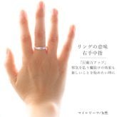 ペアリング 2本セット ハワイアンジュエリー 刻印 無料 誕生石入れ可 指輪 プルメリア マイレリーフ 1号～ 幅約3.5mm シルバー925 ギフト対応可 大きいサイズ ハワイアンジュエリー リング カップル 夫婦 プレゼント ハロウィン 【品番：SR401-SR501P】