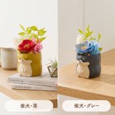 敬老の日 ギフト 花 アニマルポット プリザーブドフラワー フクロウ シマエナガ 選べるアニマル花器のギフトセット