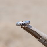 ハワイアンジュエリー ピアス 片耳 両耳 レディース メンズ サージカルステンレス 金属アレルギー対応 小さめ つけっぱなし シルバー ゴールド ピンクゴールド  男性用 女性用 ジェンダーレス