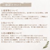 プリザーブドフラワー hanamai  誕生日 花 プレゼント お礼 お祝い 本物 グリーン ナチュラル ギフト メッセージ ガラスドーム 送料無料 お礼 プリザーブド プレゼント おしゃれ リビング インテリア 枯れない花 土日発送 母の日 敬老の日 お中元 お歳暮