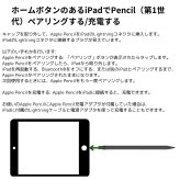 Apple Pencil (第1世代) MYQW3J/A iPad タッチペン Lightning接続 USB-Cアダプタ付属 スケッチ デザイン 学習 ビジネス クリエーティブ #51017