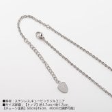 ライオンハート ハウル コイン ネックレス ステンレス クリアジルコニア メンズ ブランド LION HEART