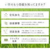夏ラグ 夏用カーペット 玄関マット 室内 おしゃれ マット い草ラグ 日本製 抗菌防臭 滑り止め ウレタン 新生活 ラグマット 北欧調 約70×120cm
