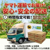 青森県産　りんご　ジョナゴールド　訳あり　10kg　送料無料！