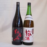 梅酒2本セット(紅南高梅酒20度(和歌山) 青梅使用小正の梅酒(鹿児島)) 1800ml×2本