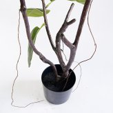 観葉植物 造花 フィカス ソフィア BROWN 全高約180cm 大型 フェイクグリーン 高級 本物そっくり リアル おしゃれ ナチュラル インテリア 人工観葉植物 アーティフィシャルグリーン オフィス 店舗 ホテル 開店祝い 室内 リビング 玄関 風水 ゴムの木