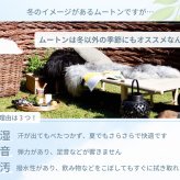 【アウトレット価格】 ムートン円形シートクッション 直径35cm 長毛タイプ グレー 毛皮 ムートンクッション ムートン クッション 座布団 ソファ 暖かい シートクッション 冬 冬用 あったか 防寒対策 おしゃれ かわいい 北欧風 韓国インテリア