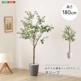 お手入れ簡単 フェイクグリーン オリーブ Lサイズ(180cm) 新築祝い 開店祝い