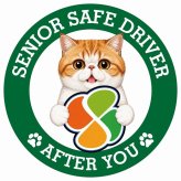 カーサイン 高齢者マーク SENIOR SAFE DRIVER エキゾチックショートヘア ステッカー シール 直径13cm 肉球 日本製 車