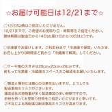 サンタさんの立体ケーキ　(お届けは12/21まで ) クリスマス 可愛い ケーキ 立体  子供 人気 プレゼント  パーティー 12月