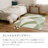 ラグ カーペット 国産高機能 ジャスト 防ダニ 抗菌 防臭 抗ウイルス 消臭 花粉対策 日本製 オールシーズン ホット 床暖房対応 おしゃれ 長方形 約180cm 円形