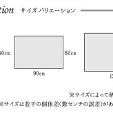 ラグ カーペット 玄関マット トルコ製 ウィルトン織り 約60×90cm 抗菌防臭 消臭機能 へたりにくい