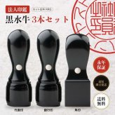 法人印鑑 3本セット 黒水牛 代表印 銀行印 角印 ケースなし RRQ 会社印 実印 印鑑 はんこ 会社設立 即日発送 ラッピング付き 永年保証 ギフト 開業祝い