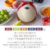 【蝶結び】-瑞果(ZUIKA)- フルーツギフトカード 旬のフルーツ詰め合わせ カタログギフト 選べるギフト 贈答 贈り物 出産祝い 結婚祝い 内祝い 御祝い お祝い お礼 引き出物 熨斗対応 