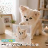 チワワ ガラスブロック 愛犬 ダックスフンド コーギー 虹の橋 ペットロス ペット 記念品 犬 ペットメモリアル 記念 写真入り 愛猫家 ペットグッズ ペット仏壇 クリスタル メモリアルプレート フォトキューブ メモリアルグッズ オリジナル ポメラニアン プレゼント 愛犬家 誕生日 小型犬 ディスプレイ 写真 オーダーメイド サプライズ メモリアルフォトフレーム フォトフレーム 置き物【c01】