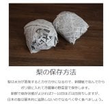 予約販売 訳あり 梨 千葉県市川産 いちかわの梨 5kg 幸水 豊水 秋月 B級品 自宅用 家庭用 和梨 なし フルーツ 果物 旬の味覚 お取り寄せ グルメ お盆 暑中見舞い 残暑見舞い