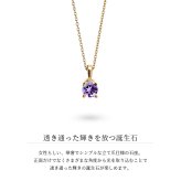 アメシスト ネックレス K14 ゴールド ネックレス ハワイアンジュエリー ネックレス 14K K14ゴールド 14金 イエローゴールド ピンクゴールド ホワイトゴールド 2月誕生石 アメジスト 一粒 ギフトラッピング可能 BYTHESEA プレゼント ハロウィン 【品番：CG-GP501-2】