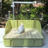 鳥用シャワー ノズルパーツ ダブルシャワー設計 自動循環シャワー バードバス用 小鳥 水浴び用品