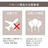 【名入れ】 シャンパン モエ・エ・シャンドン名入れ 名前 ギフト おしゃれ 人気 有名 モエ ランキング スパークリングワイン ワイン 赤ワイン 女性 彼女 妻 女性 結婚記念日 結婚祝い 誕生日 375ml《 モエ バルーンブーケ -20th Birthday-  》 /5営業日出荷