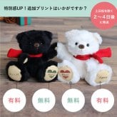 クリスマスプレゼント ペア お揃い 【マグネットでぎゅっと寄り添う】 ニコイチ 彼女 彼氏 カップル 女性 親友 記念日 キーホルダー 名前入り ペアギフト 友達 ペアセット 名入れ 結婚記念日 結婚祝い 誕生日プレゼント 可愛い くま マスコット ぬいぐるみ キーチャーム 女の子 テディベア 癒し 娘 孫 おしゃれ 記念品 10代 20代 26クリスマスブラン＆ノワール 8033600
