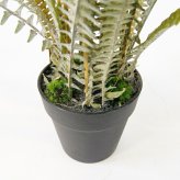 観葉植物 造花 ボストンファーン シルバー BROWN 全高約77cm 卓上・小型 フェイクグリーン 本物そっくり おしゃれ インテリア 人工観葉植物 アーティフィシャルグリーン オフィス 店舗 ホテル 開店祝い 室内 ミニ シダ タマシダ フェイク
