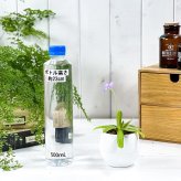PLANCHU 食虫植物 ピンギキュラ アフロディーテ 3号丸鉢 受け皿付き 育て方説明書付き Pinguicula ‘Aphrodite’ ムシトリスミレ