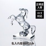 Baccarat バカラ いななく馬・SWAROVSKI スワロフスキー 台座 Lサイズ オリジナルセット 名入れ 彫刻 刻印 名入れギフト プレゼント 記念品 お祝い 正規品 法人記念品 受賞 周年記念 開店祝 還暦祝 退職祝 縁起物 風水