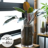 FOYER ホワイエ PVシリンダー 直径20cm×高さ40cm