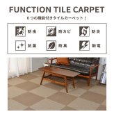 ラグ カーペット タイル パフェ 約50×50cm 1枚入 敷き詰め 防虫 防カビ 抗菌 防臭 防炎 制電 新生活
