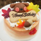 犬用ケーキ 誕生日 ちぃさい秋みぃ～つけた紅葉いちごショートケーキ プチサイズ 無添加 食いつき 人気 おすすめ 手づくりごはん 小型犬 犬 小さいサイズ バースデー ケーキ フードケーキ ごはん プレゼント ギフト 贈り物 お誕生日 お迎え記念日 快気祝い ご贈答用 結婚祝い パーティー お茶会 犬友 猫友 お祝い お誕生日 ワンちゃん ペットフード ドッグフード