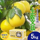 土佐文旦 野囲い 文旦 小 M/Lサイズ 5kg 家庭用 土佐市 まる庄果樹園 産直 山間部栽培 ぶんたん 産地直送 高知産 ジューシー まろやか 高知 ブンタン 農家直送 ネコちゃん箱入り 届いてすぐに食べれる追熟文旦【送料無料】