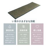 チェア 椅子 クッション ベンチパッド い草 チェック柄 調湿 空気清浄 お手入れ簡単 約35×100cm 新生活