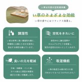 夏ラグ 夏用カーペット ラグ 長方形 い草 自然素材 クッション性 撥水 防ダニ 滑り止め加工 抗菌防臭 消臭 約6畳 約240×320cmマット 井草 ゴザ マット カーペット 涼しい 抗菌 おしゃれな 置く 敷く かわいい 防虫