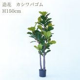 観葉植物 造花 カシワバゴム BROWN 全高約150cm 大型 ゴムの木 フェイクグリーン 本物そっくり おしゃれ インテリア 人工観葉植物 アーティフィシャルグリーン オフィス 店舗 ホテル 開店祝い 室内 フィドルリーフ フェイク
