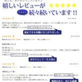 印鑑 はんこ 宝石印鑑 ラピスラズリ 天然石 青金石 (12mm～15mm) 印鑑ケース付 実印 銀行印 認印 開運印鑑祈願 女性 男性 かわいい Lapis Lazuri 永年保証