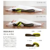姿勢サポート座椅子 背筋がGUUUN 美姿勢座椅子 子供 椅子 学習椅子 背筋サポート リクライニング コンパクト キッズ ジュニア 中学生 高校生 成長期 勉強 学習 ゲーム 読書 デスクワーク 座り姿勢 子供部屋 チェア 座いす 男の子 女の子 誕生日 入学祝い 進学祝い プレゼント ギフト
