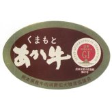 熊本 くまもとあか牛 生ハンバーグ 2個入計2パック ハンバーグ 冷凍 和牛 国産 希少 和牛ハンバーグ【北海道・沖縄県・離島 配送不可】