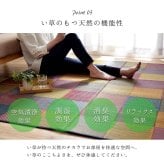 夏ラグ 夏用カーペット ラグ 純国産 国産 日本製 い草 抗菌防臭 自然素材 モダン 『DXカラフルブロック』 約140×200cm