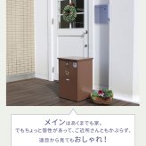 ガーデン エクステリア 新聞受け付き壁掛けポスト Miche ミケ PST-004