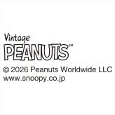 ピーナッツ HAPPY COLOR ペアパスタプレートセット SN2800-68  内祝 内祝い お祝 御祝 記念品 出産内祝い プレゼント 快気祝い 粗供養 引出物