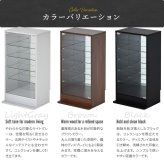 コレクションケース Mサイズ ONLS0416 フィギュアボックス 幅43cm 奥行34cm 高さ81.5cm リビング収納 背面ミラー コレクションケース 推し活 ディスプレイ ケース 角型 推し活 収納 ディスプレイ おしゃれ