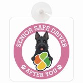 カーサイン 高齢者マーク SENIOR SAFE DRIVER スコティッシュテリア 車内用 吸盤タイプ 収れん火災防止タイプ 肉球 日本製 車 ステッカー
