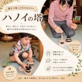 [日本製安心おもちゃ]　数学パズル ハノイの塔10段 (ゼブラバージョン) 日本グッドトイ受賞　[送料無料] [木のおもちゃ 型はめ パズル 日本製 知育玩具 積み木 1歳 2歳 3歳 4歳 5歳 6歳 7歳 8歳 幼児子供 小学生 中学生 誕生日ギフト～出産祝い 男の子 女の子 赤ちゃん おもちゃ 誕生祝い 親子 木育 家族 かたはめ ]