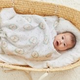 おくるみ スワドル 2枚セット 出産祝い aden+anais エイデンアンドアネイ ブラッシングバニーズ コットンモスリン ダブルガーゼ 大判 約112cm 新生児 退院 内祝い 出産内祝い 女の子 ギフト 専用ボックス入り ガーゼケット ブランケット 授乳ケープ おむつ替えシート 双子