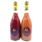 愛媛 エヒメエンゲージファーム ブラッドオレンジジュース セット 2種 計4本入 フルーツジュース 果汁飲料 ストレート ジュース 国産