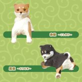 【5種類セット】 エール ガチャ ふちやすみ 柴犬 コンプリート 中身 ガチャガチャ