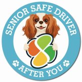 カーサイン 高齢者マーク SENIOR SAFE DRIVER キャバリアキングチャールズスパニエル マグネット 強力 直径13cm 肉球 日本製 車 ステッカー